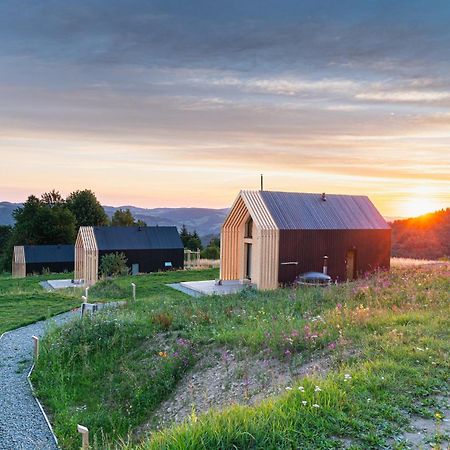 Domy Wypoczynkowe W Beskidach - Odpoczywaj W Naturze Laskowa  Kültér fotó